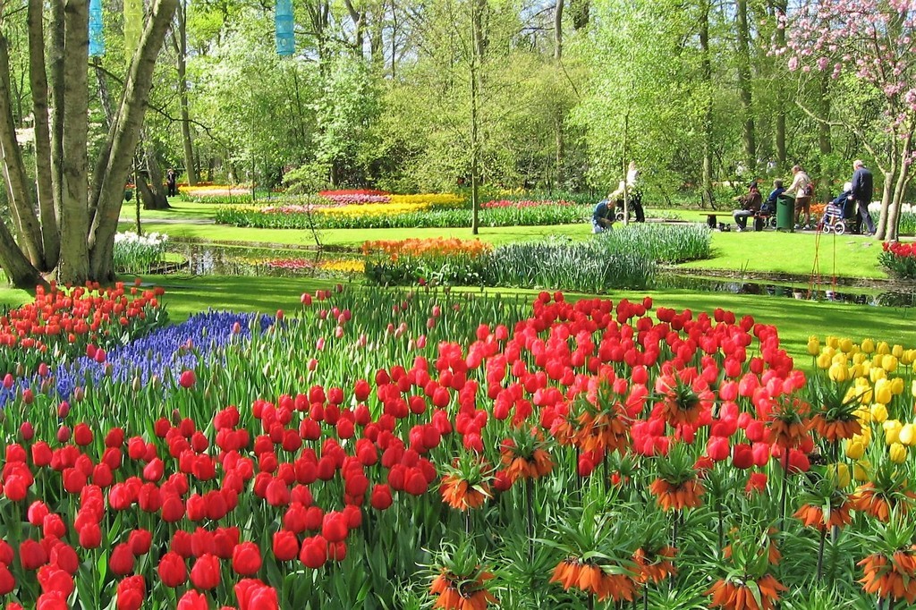 holandsko-kvetinove-korzo-a-amsterdam-holandsko-keukenhof-2